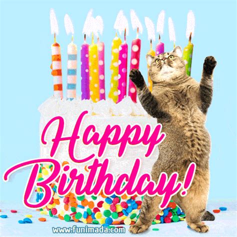 free birthday gifs for her|Happy Birthday For Her Funny GIFs